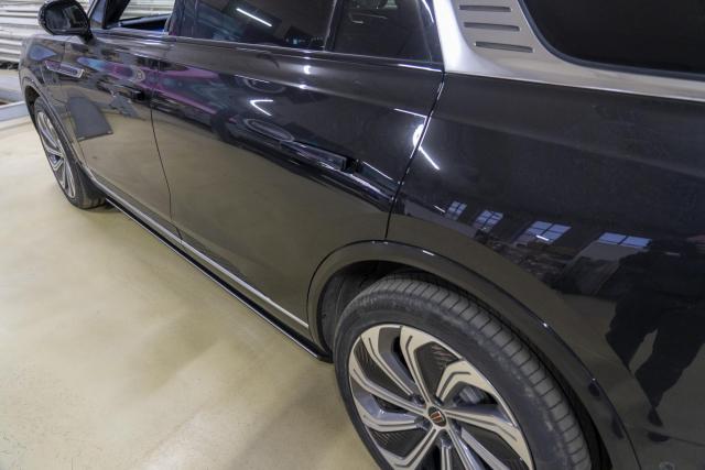 Выдвижные электрические пороги на  HONGQI E-HS9